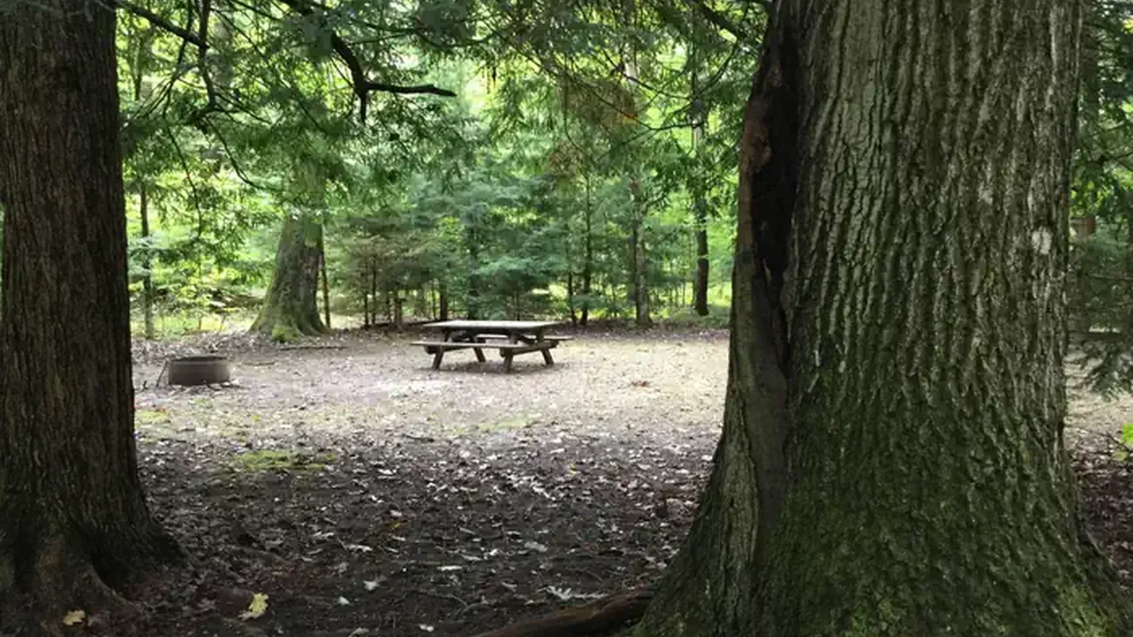 Hearts Content Recreation Area