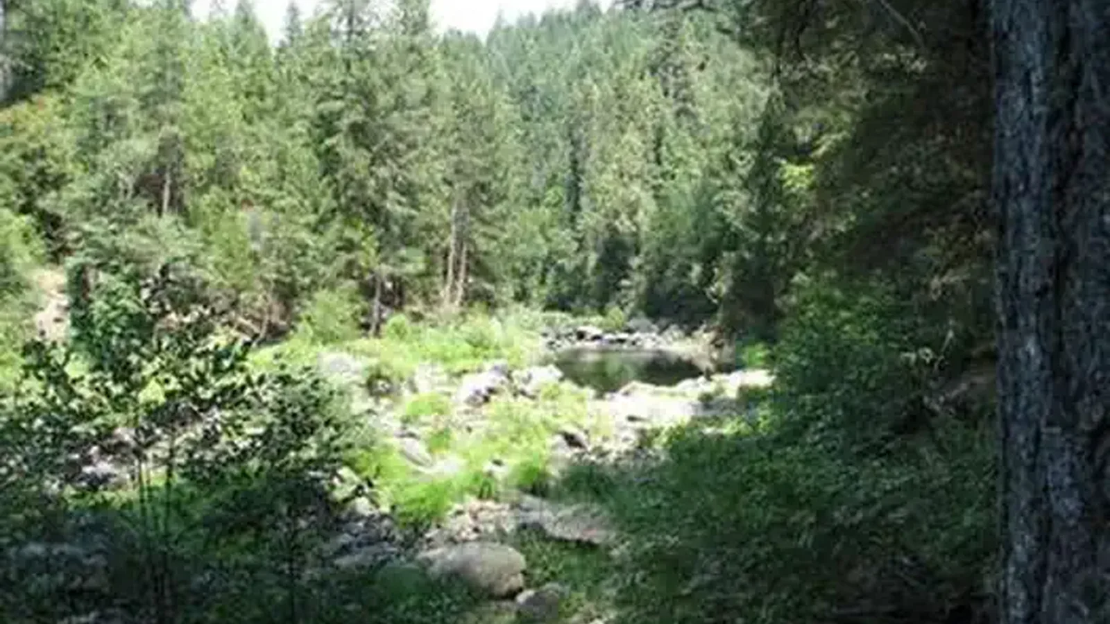 BRIDAL VEIL GROUP AREA AND PICNIC GROUND