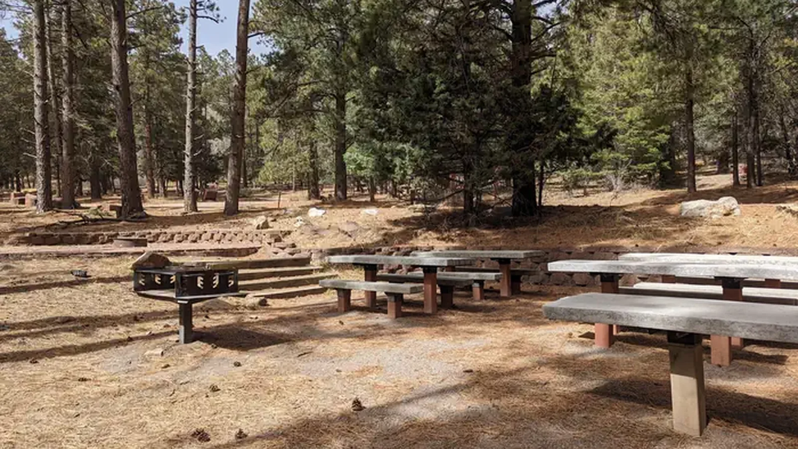 Group Picnic Area