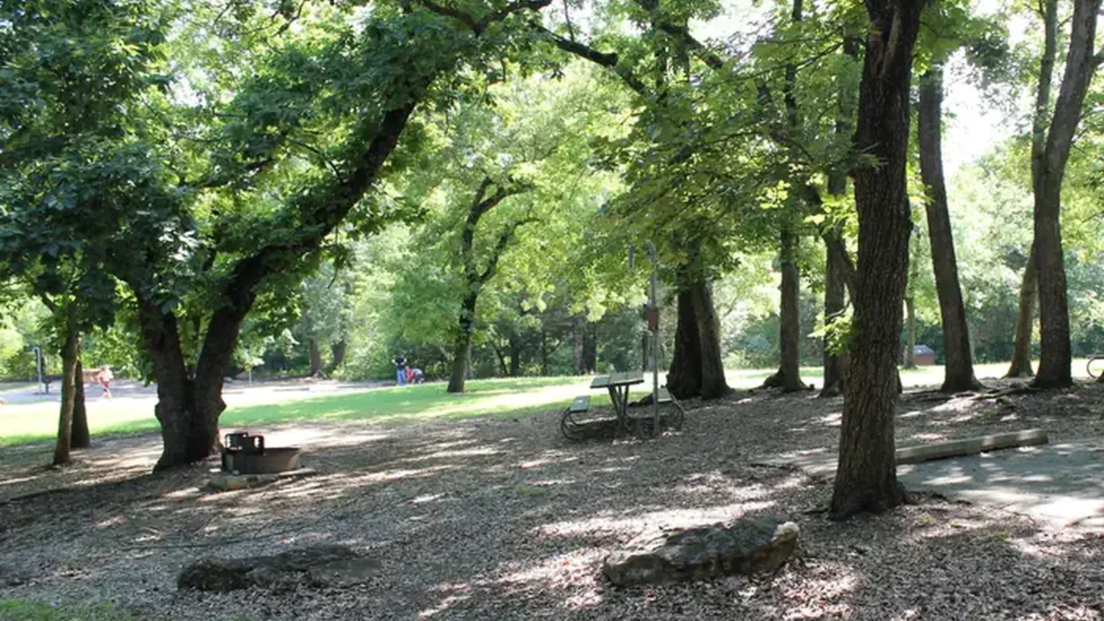 Central Group Campground  showing picnic table and trees and open space.