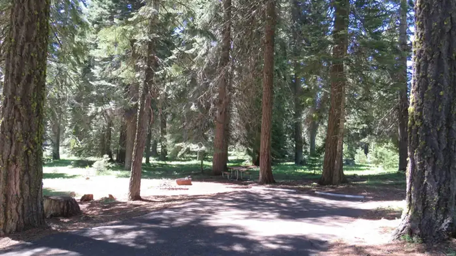 Hyatt Campground Campsite
