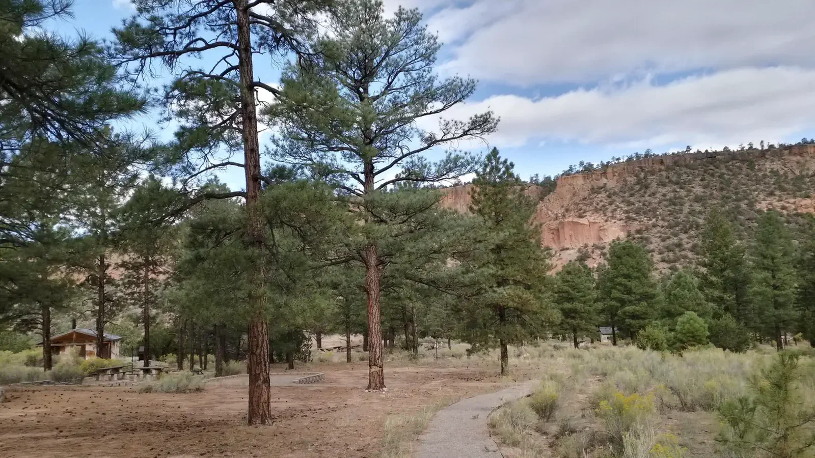 A campground with pines trees near a walkway and mesas in the horizon.