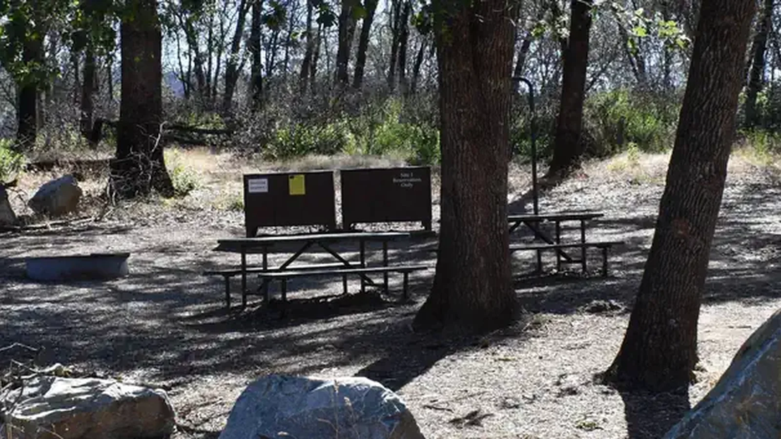 Horse Camp site #2