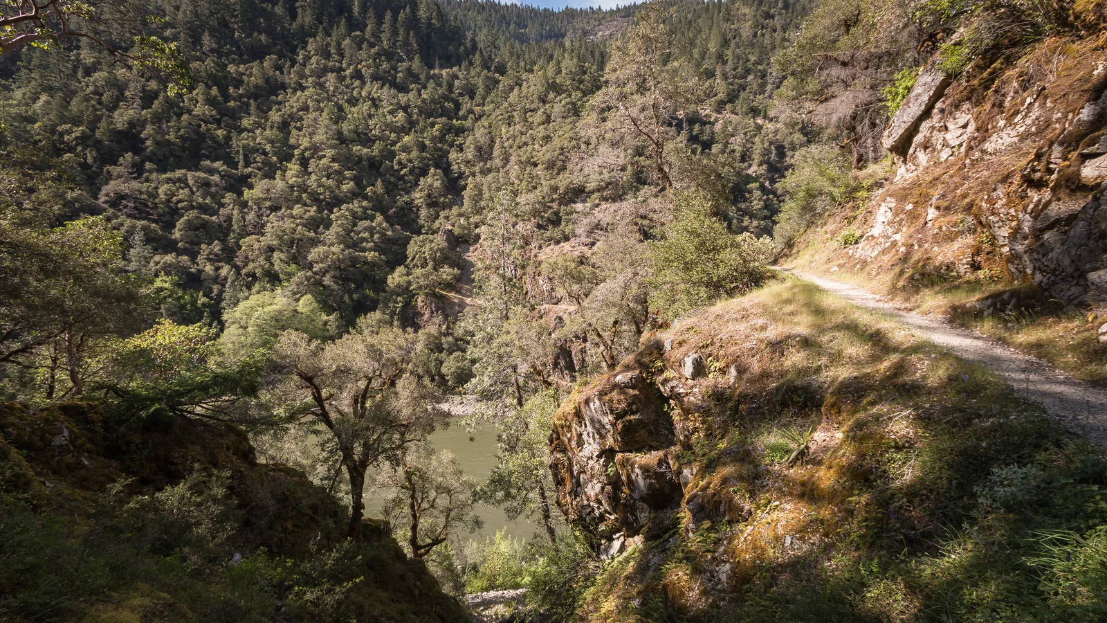The Rogue River & Rainie Falls Trail