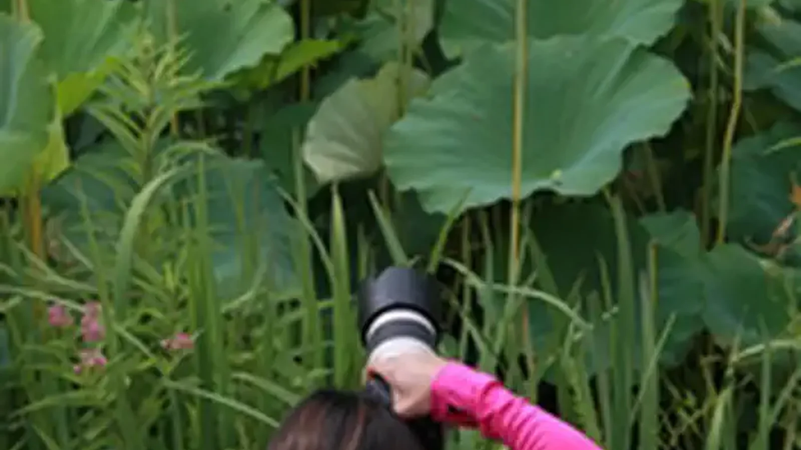 Capturing Moments