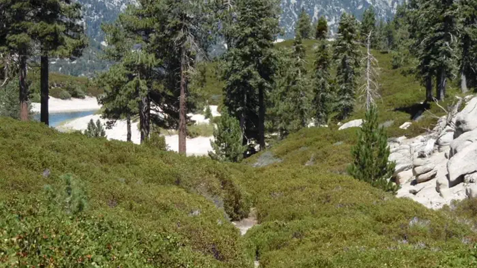 Shady Cove Trail