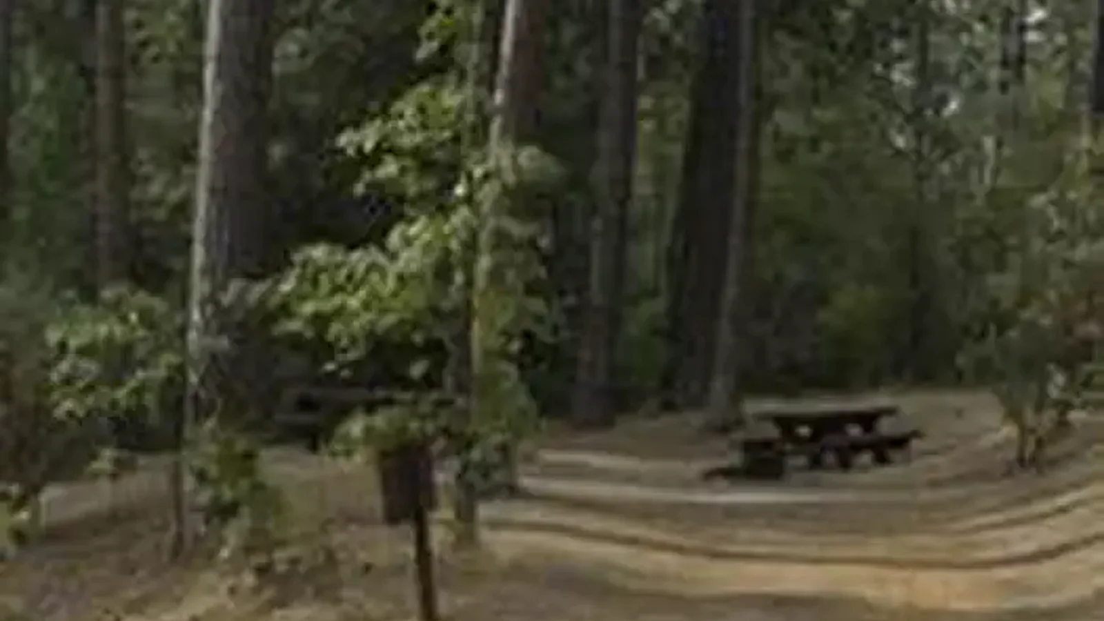 CRANE VALLEY