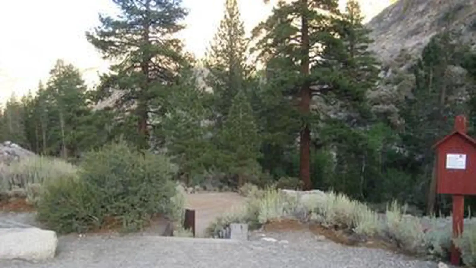 A gravel group campsite in the forest