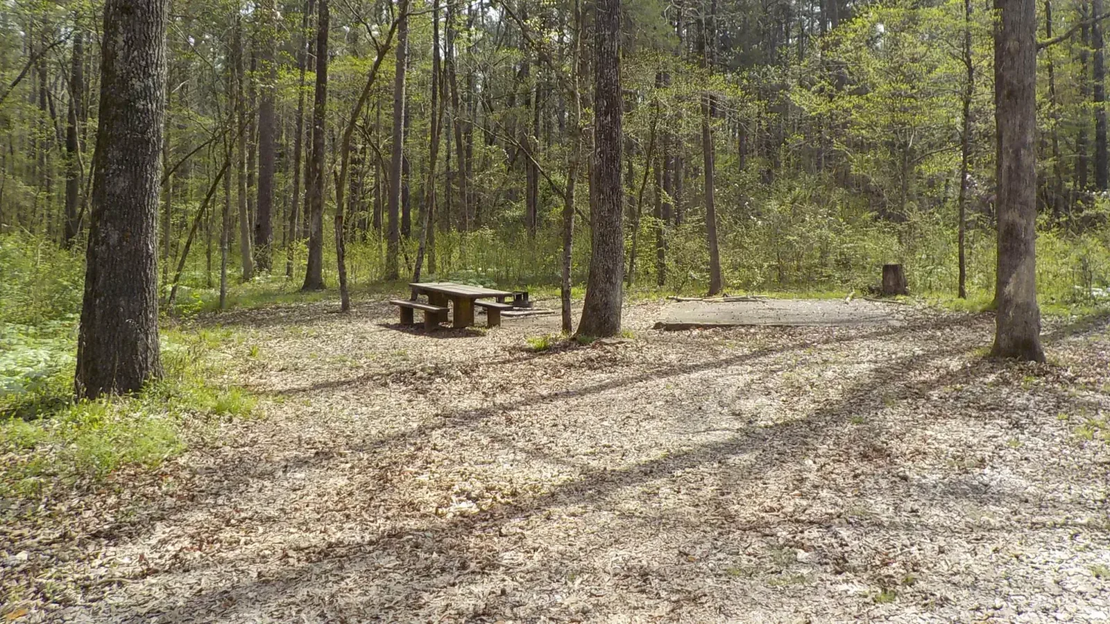 Campsite