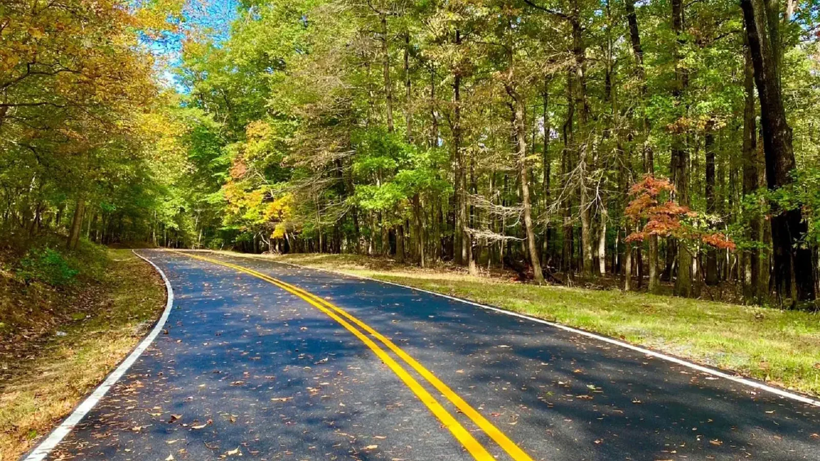 Park Central Road in Greenbelt Park, Maryland
