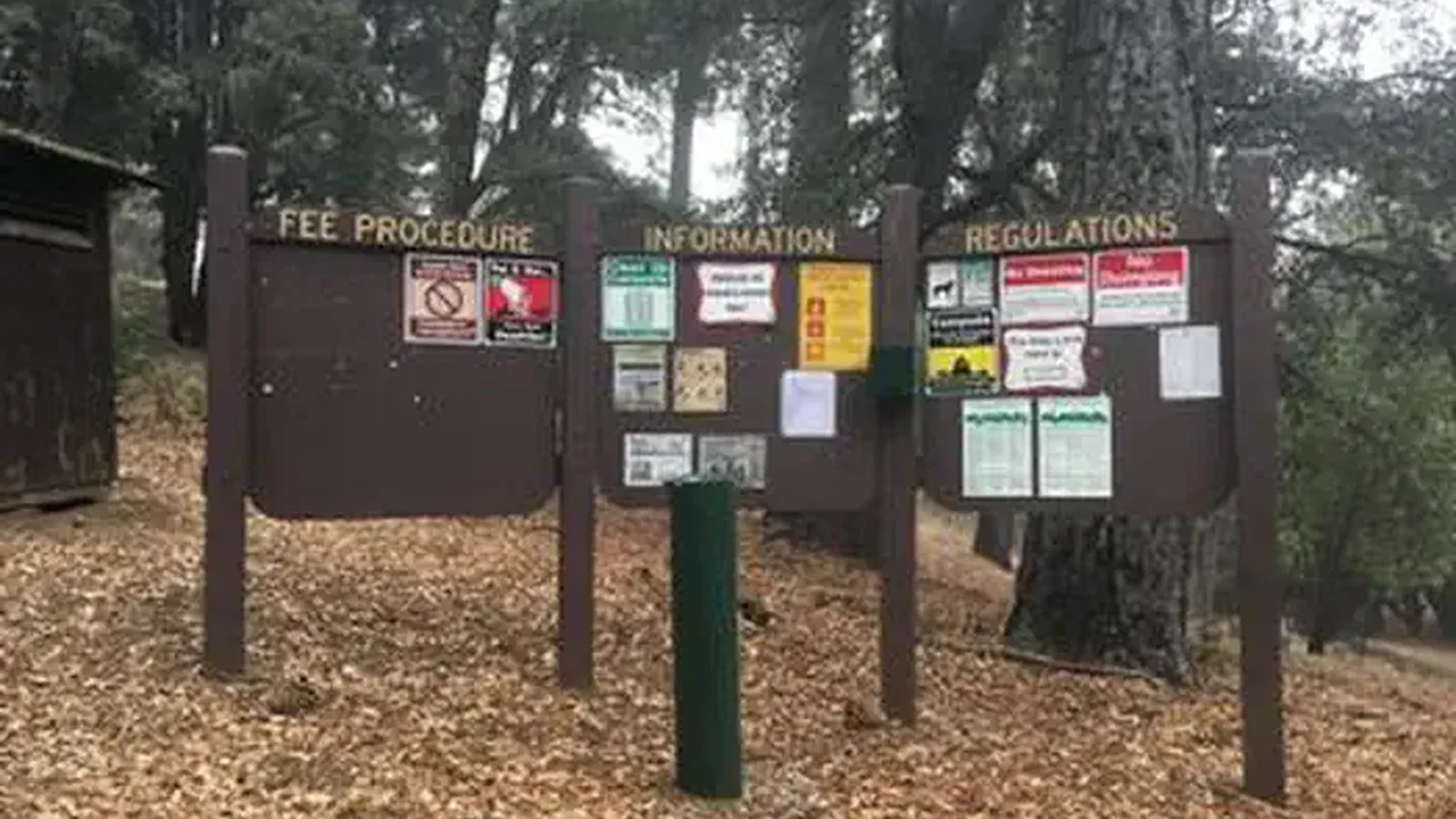 CHINA CAMP CAMPGROUND