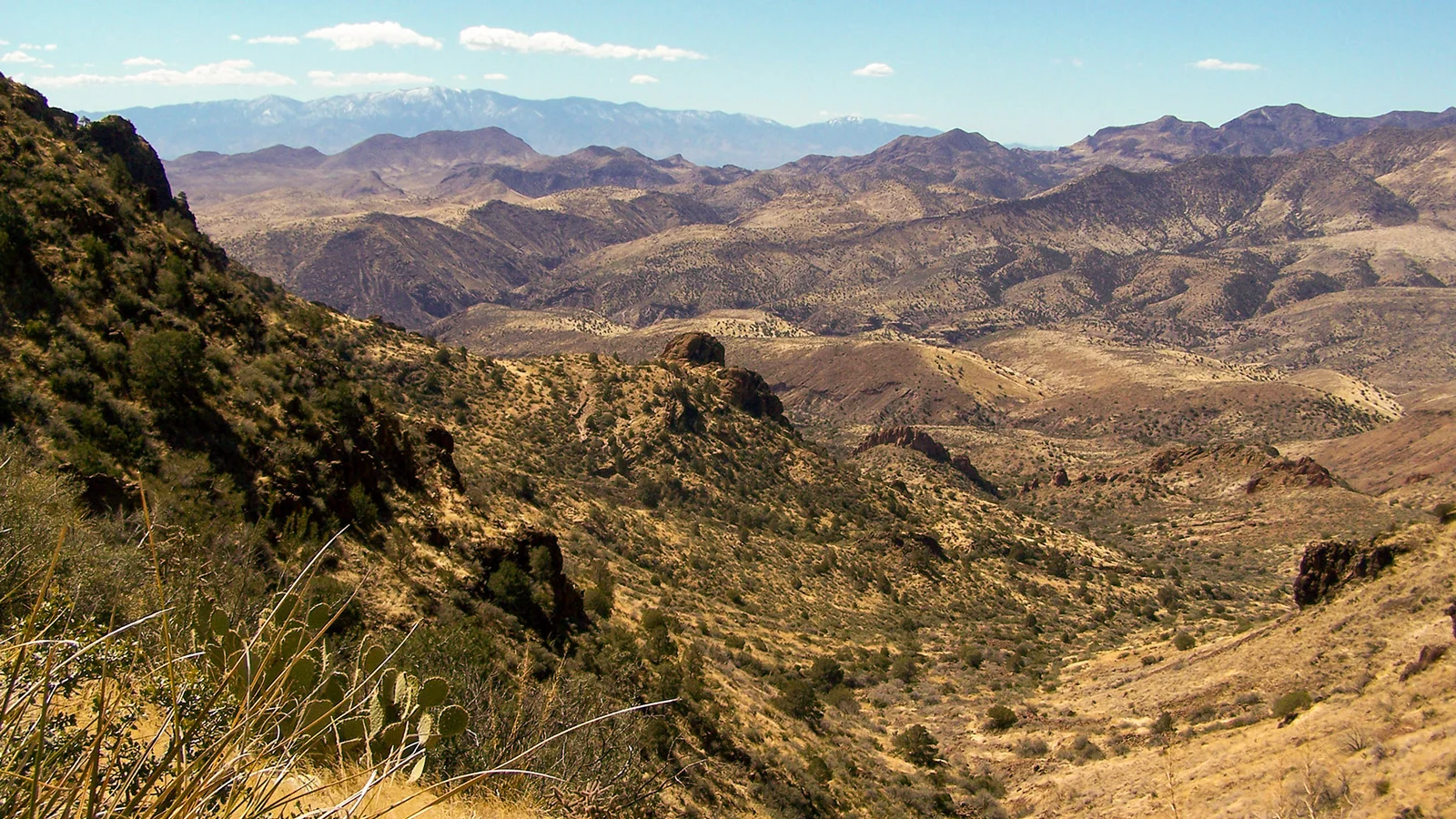Turtle Mountain Summit
