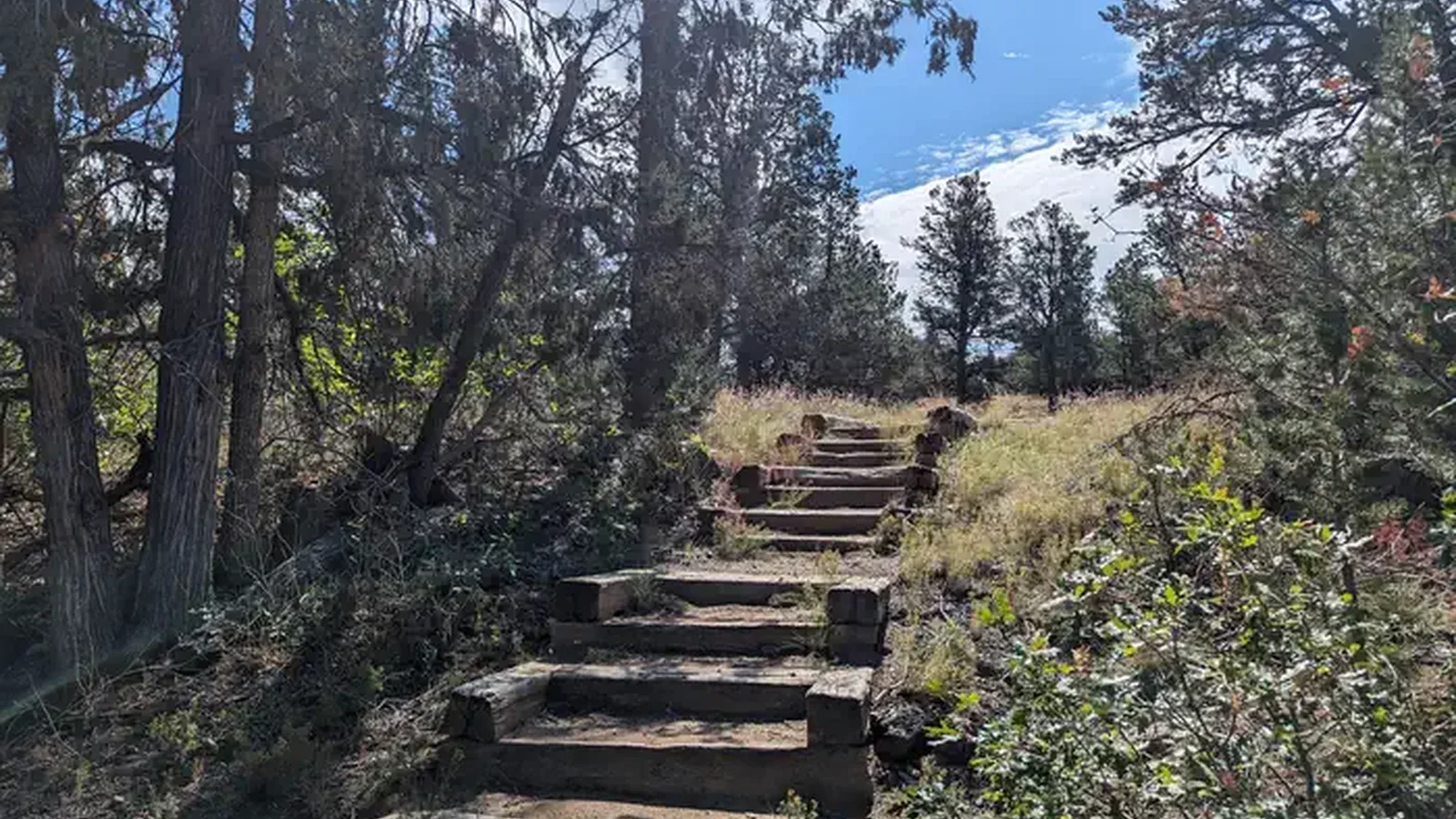 Trails from the campground