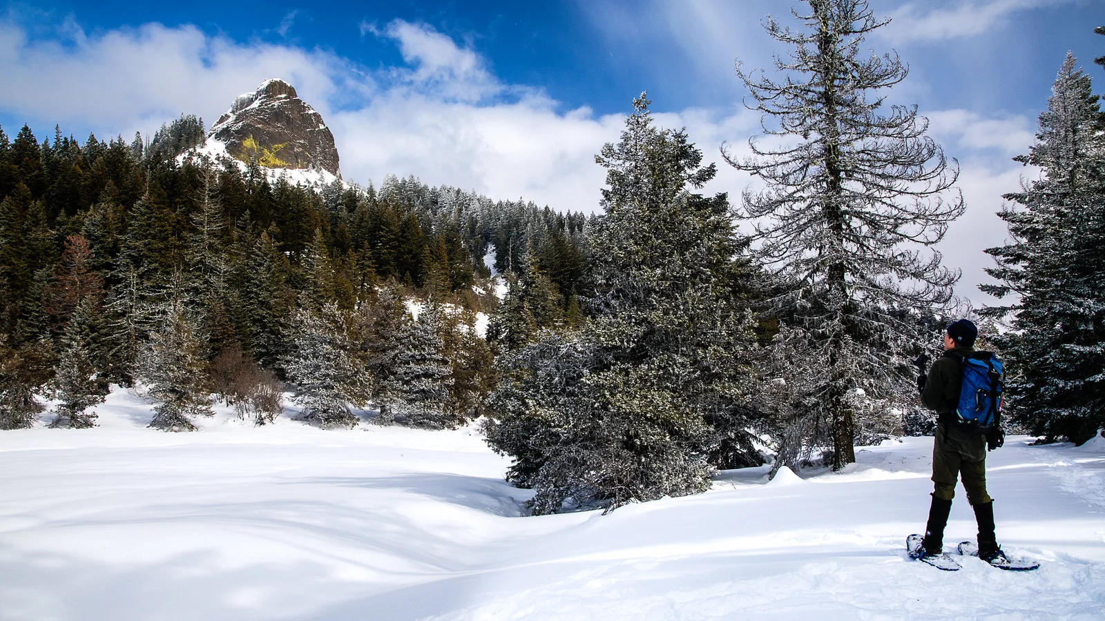 Winter in the Soda Mountain Wilderness