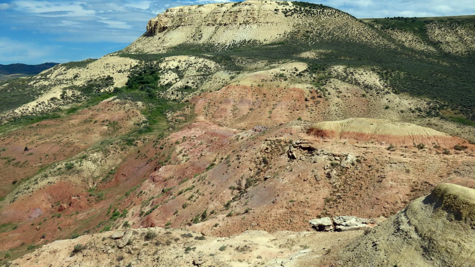 Fossil Butte and the Wasatch Formation