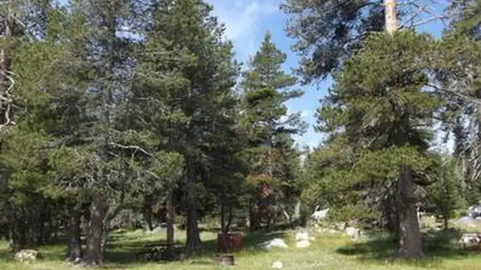 WRIGHTS LAKE EQUESTRIAN CAMPGROUND