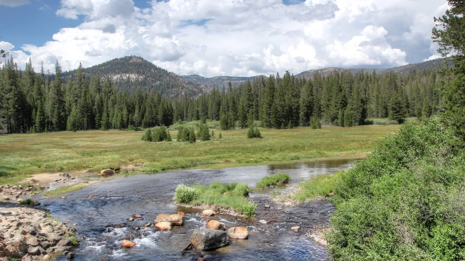 Soda Springs Meadow and San Joaquin River