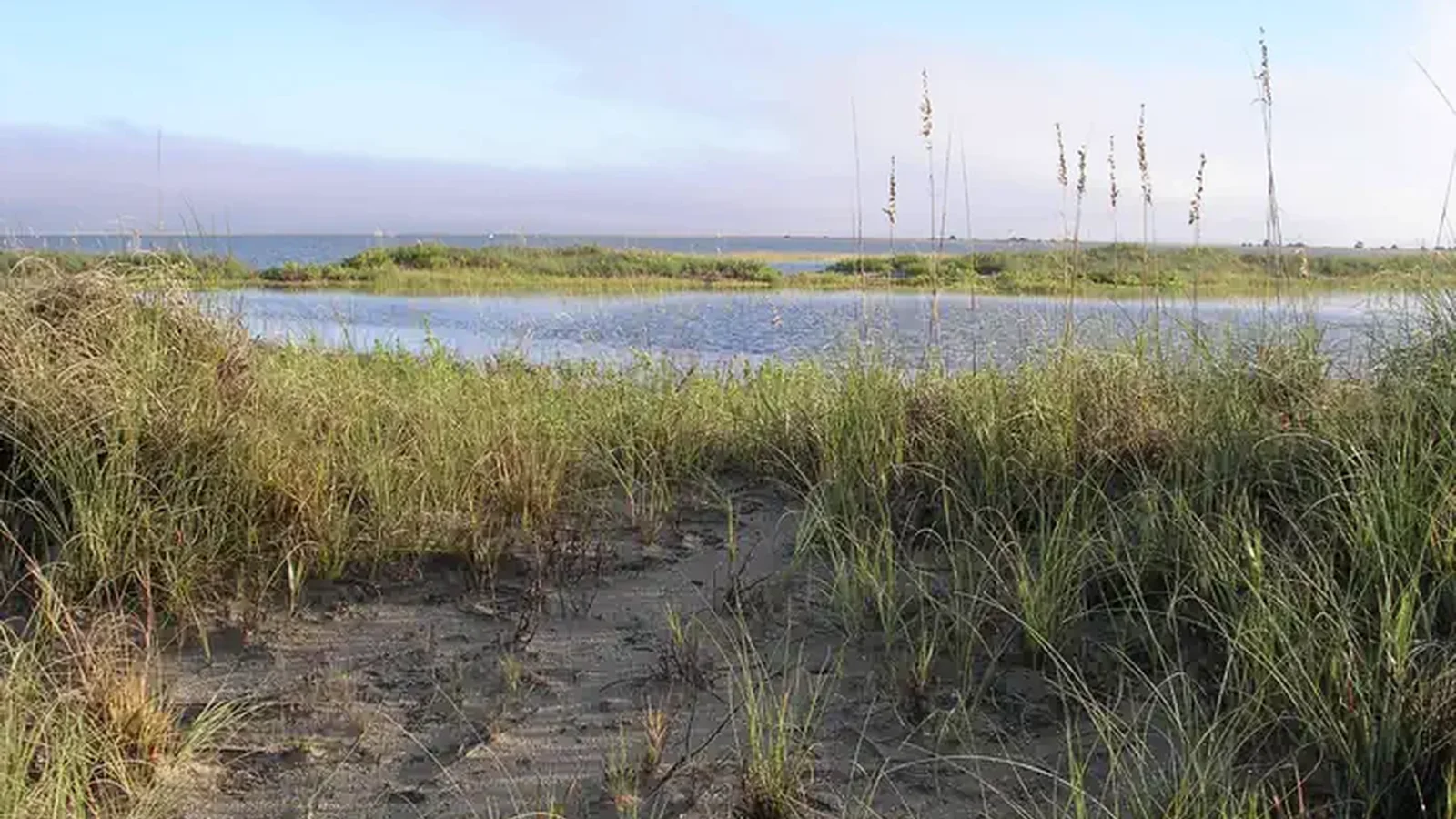 Cape Romain National Wildlife Refuge