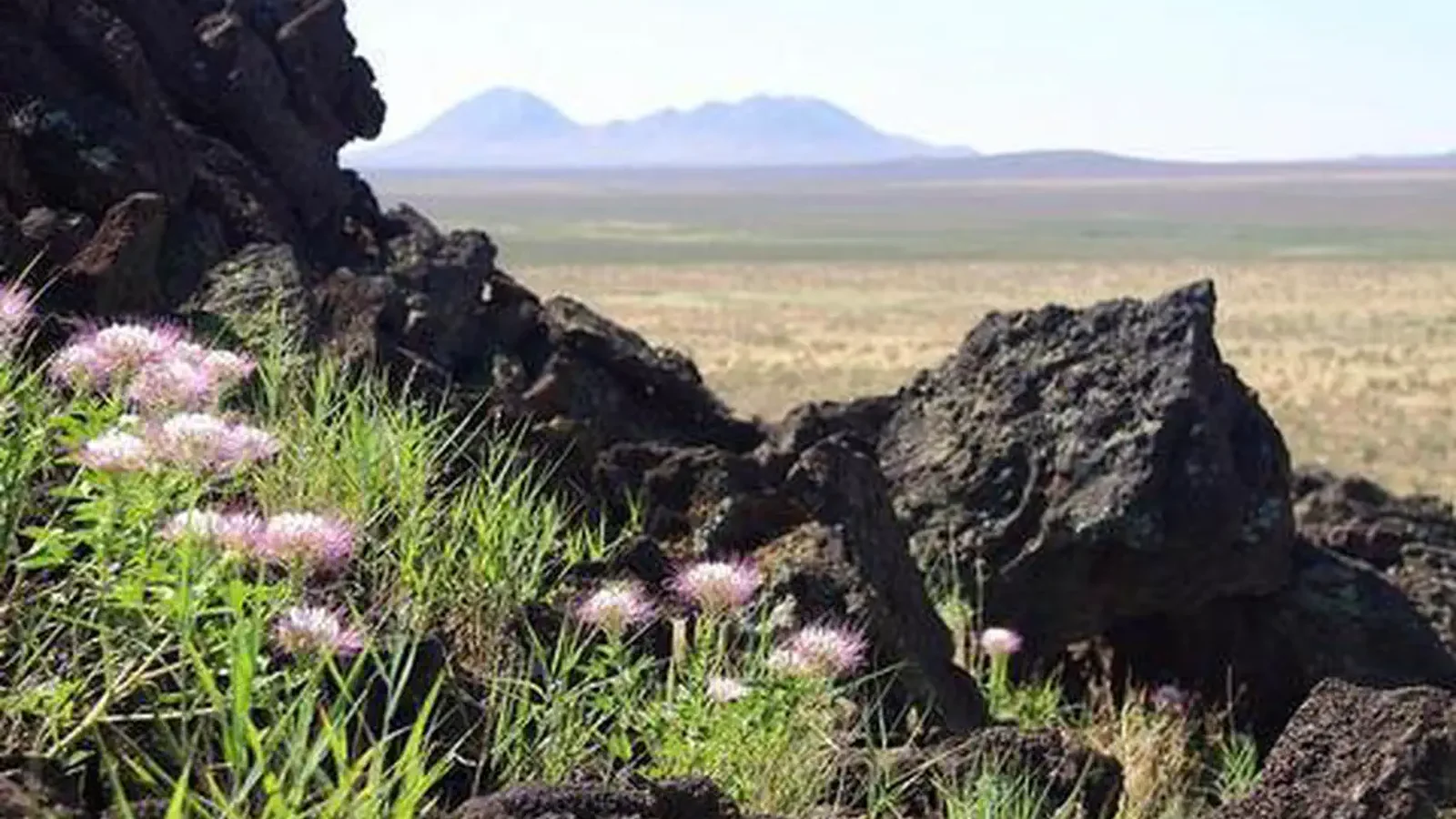 Aden Lava Flow Wilderness Study Area