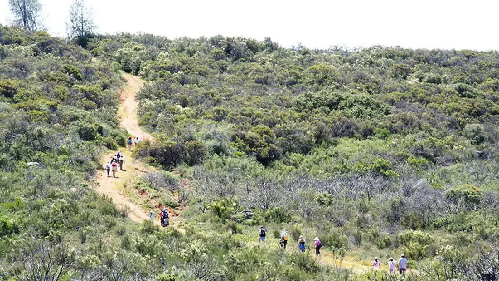 Pine Hill Preserve ACEC