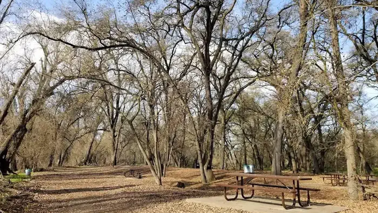 Valley Oak Campground