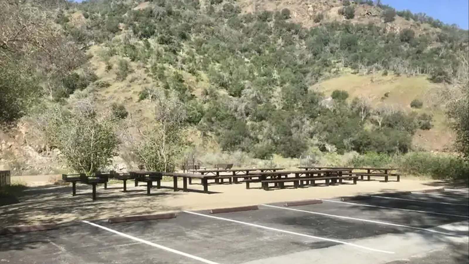 Picnic table and grills.