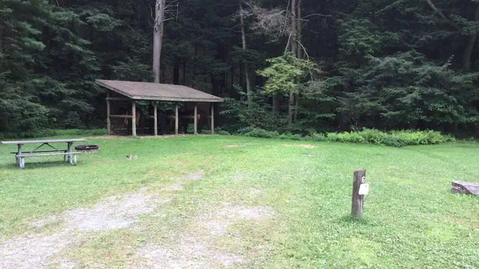 Kelly Pines Campground: Site 6