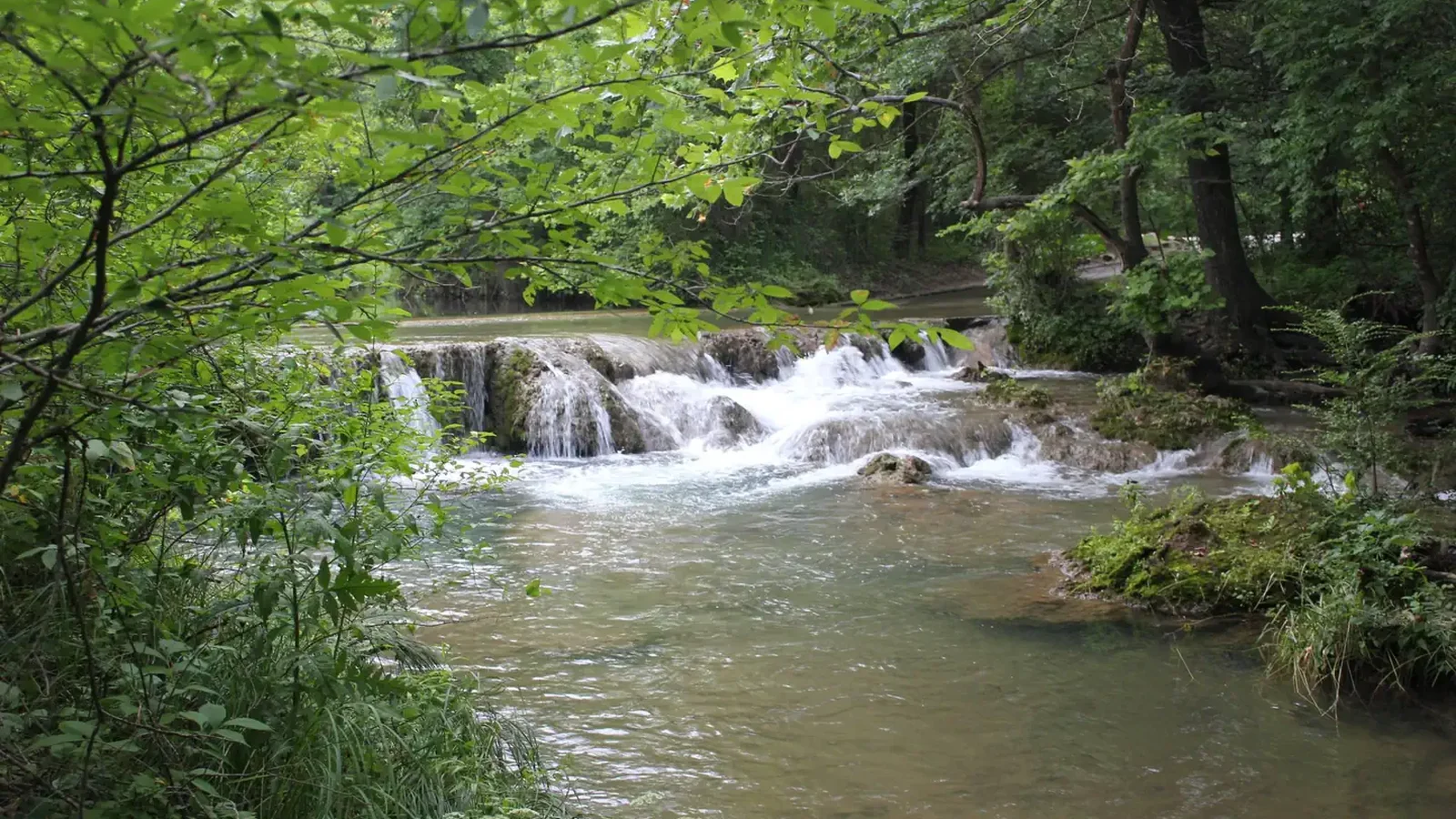 A waterfall with lush greenery surrounding it during the summer