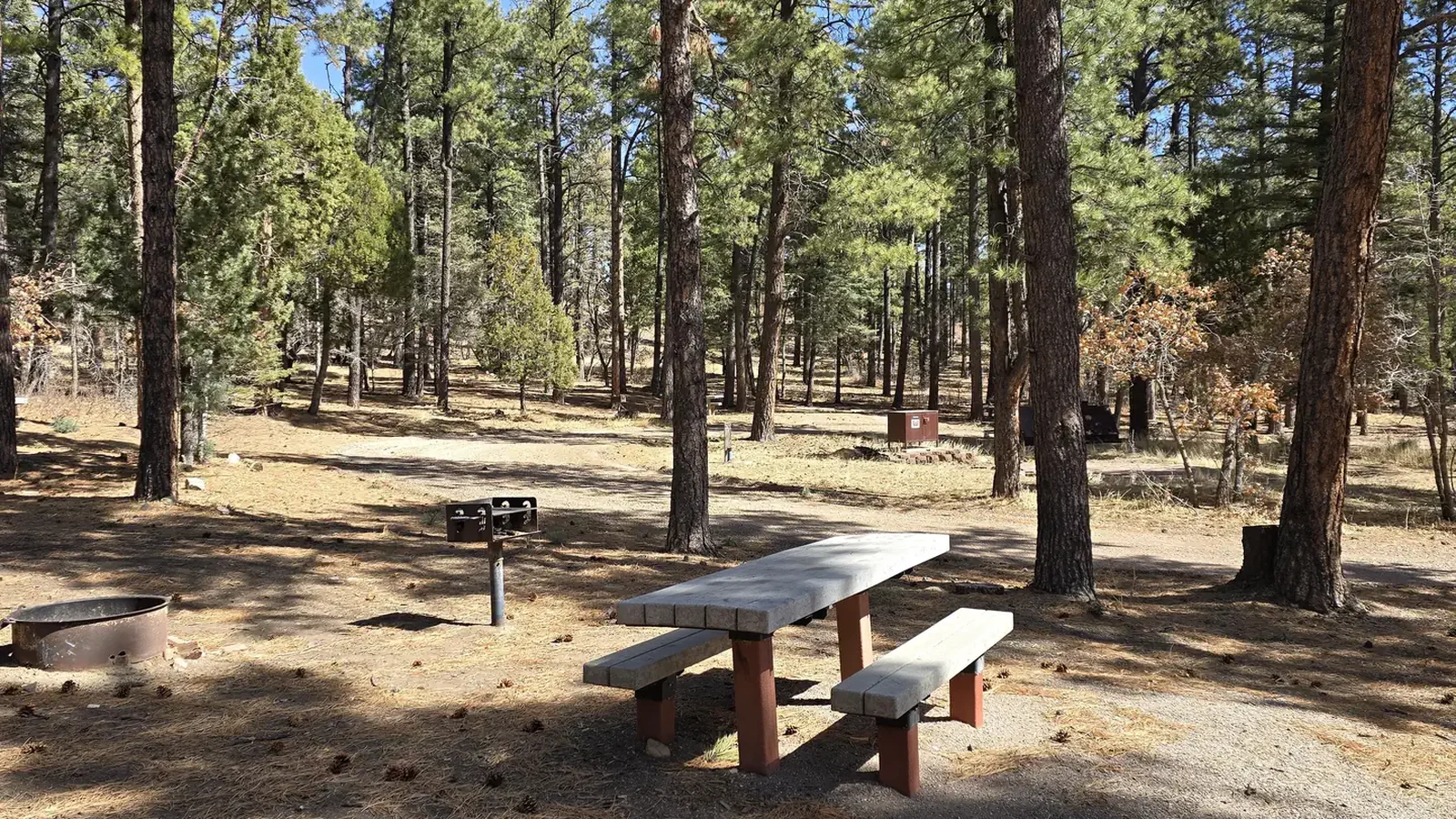 Campsite in the spring
