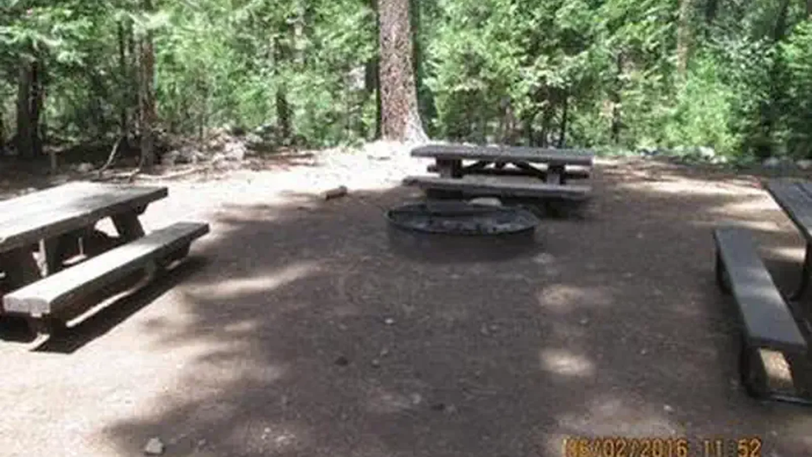 Camp Unit 1 with picnic tables and group fire ring.