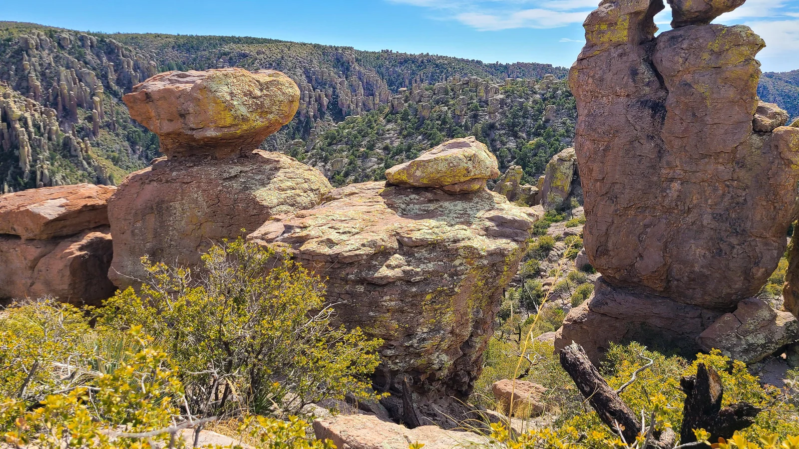 View from Massai Point