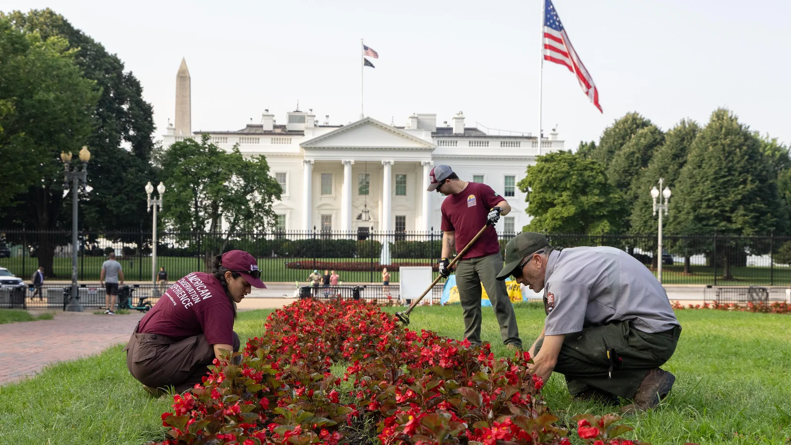 TTAP interns work alongside NPS to maintain Lafayette Park