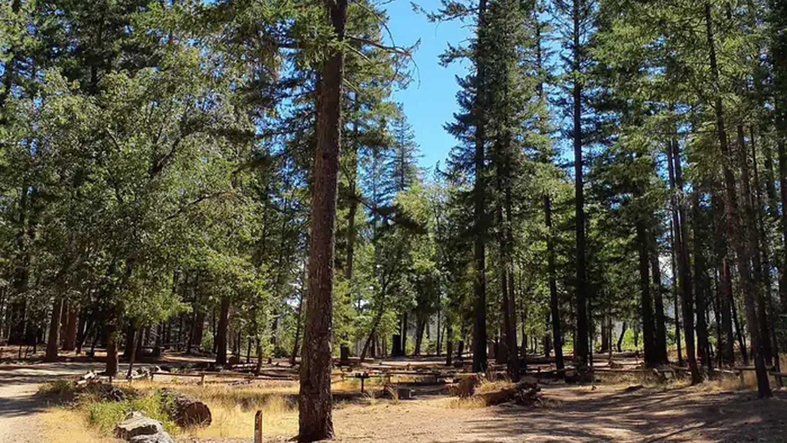 Deer Valley Campground looking east