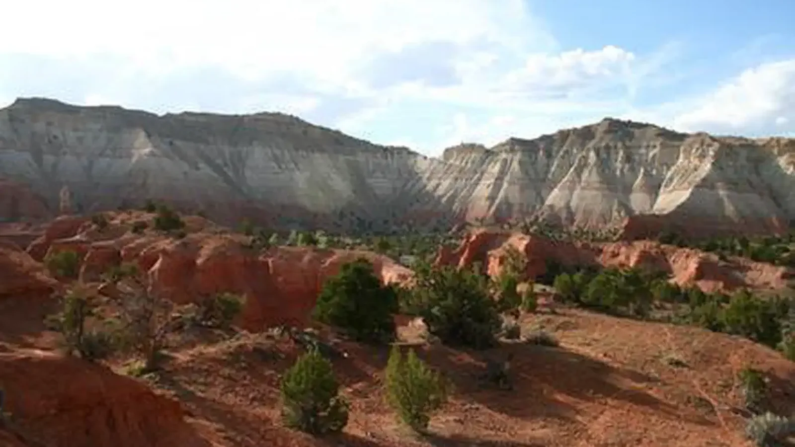 Contrasting Sandstone and Junipers at Kodachrome Basin