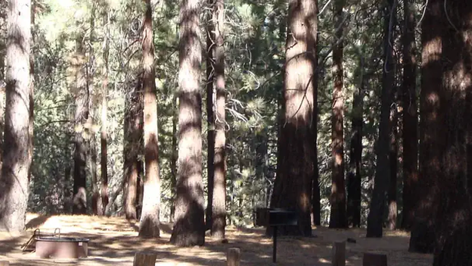 Pine Glen Campground