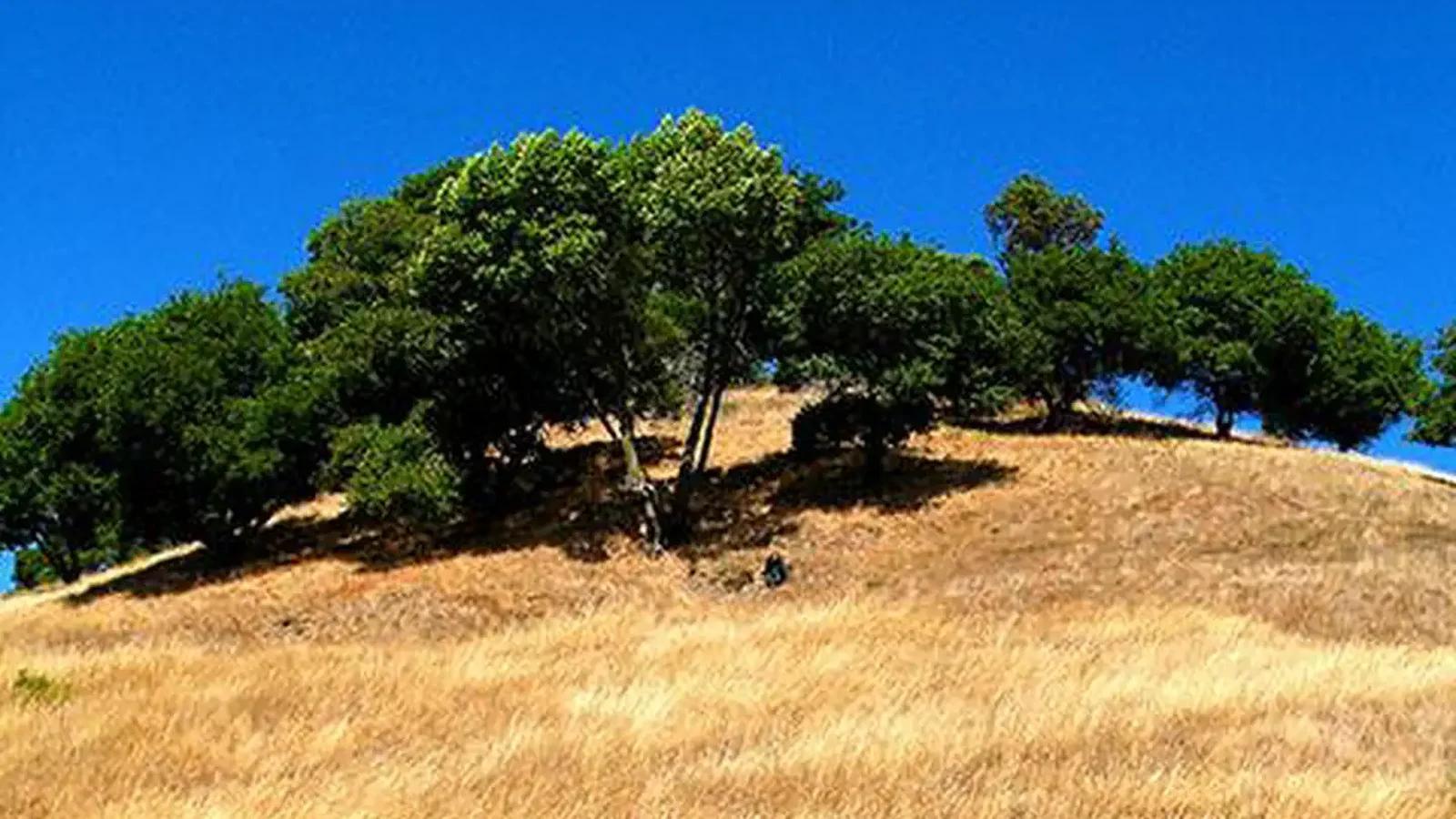 China Camp State Park and San Francisco National Estuarine Research Reserve, California