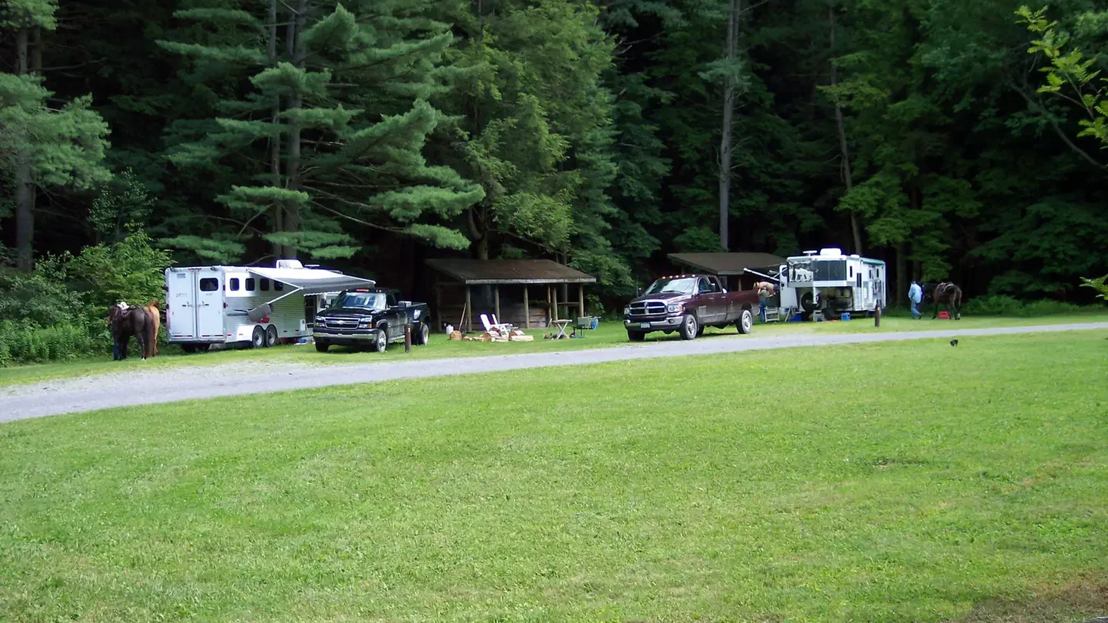 Kelly Pines Campground Overview