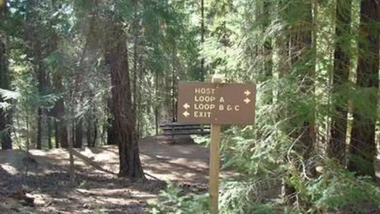 ALPINE VIEW CAMPGROUND4
