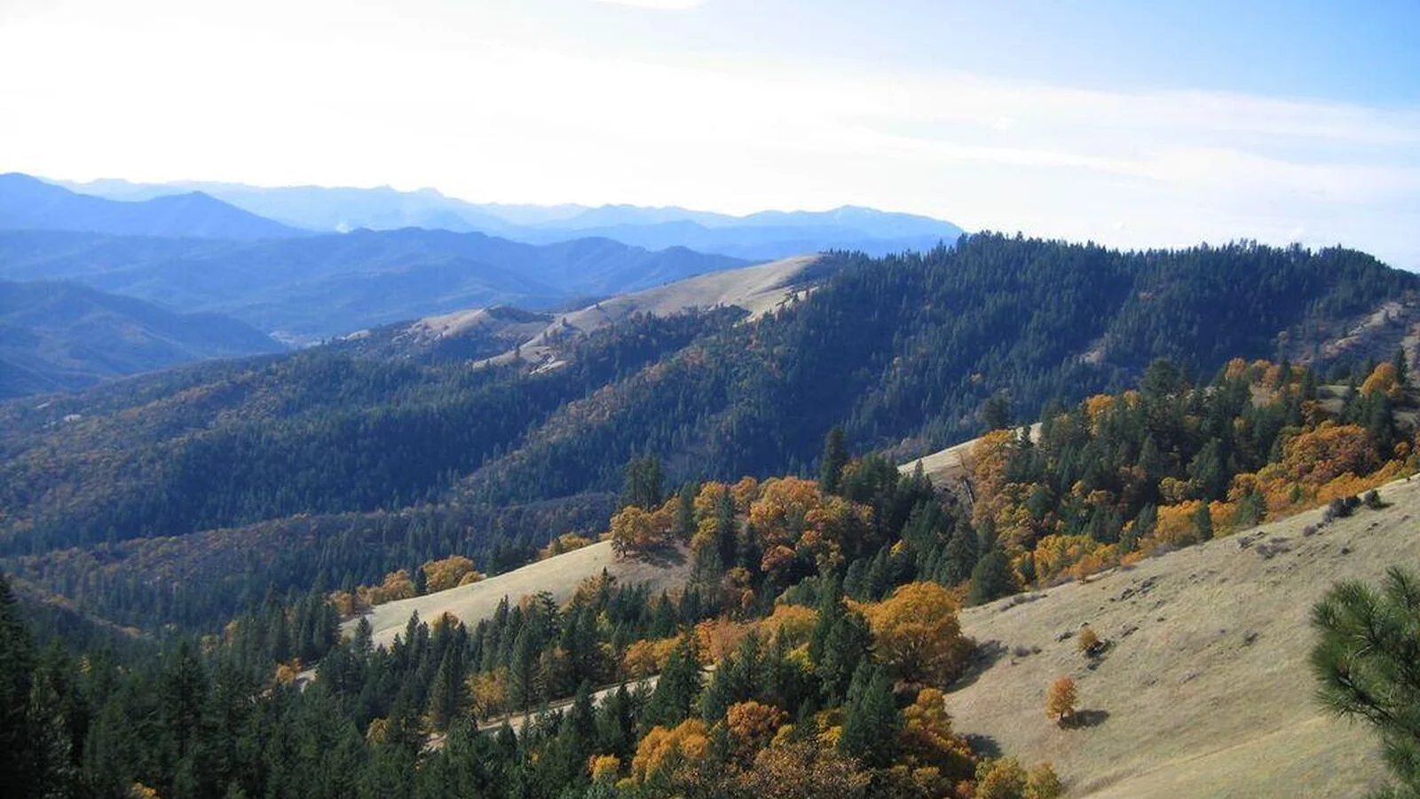 View from the Jack-Ash Trail, from Anderson Butte looking westerly.