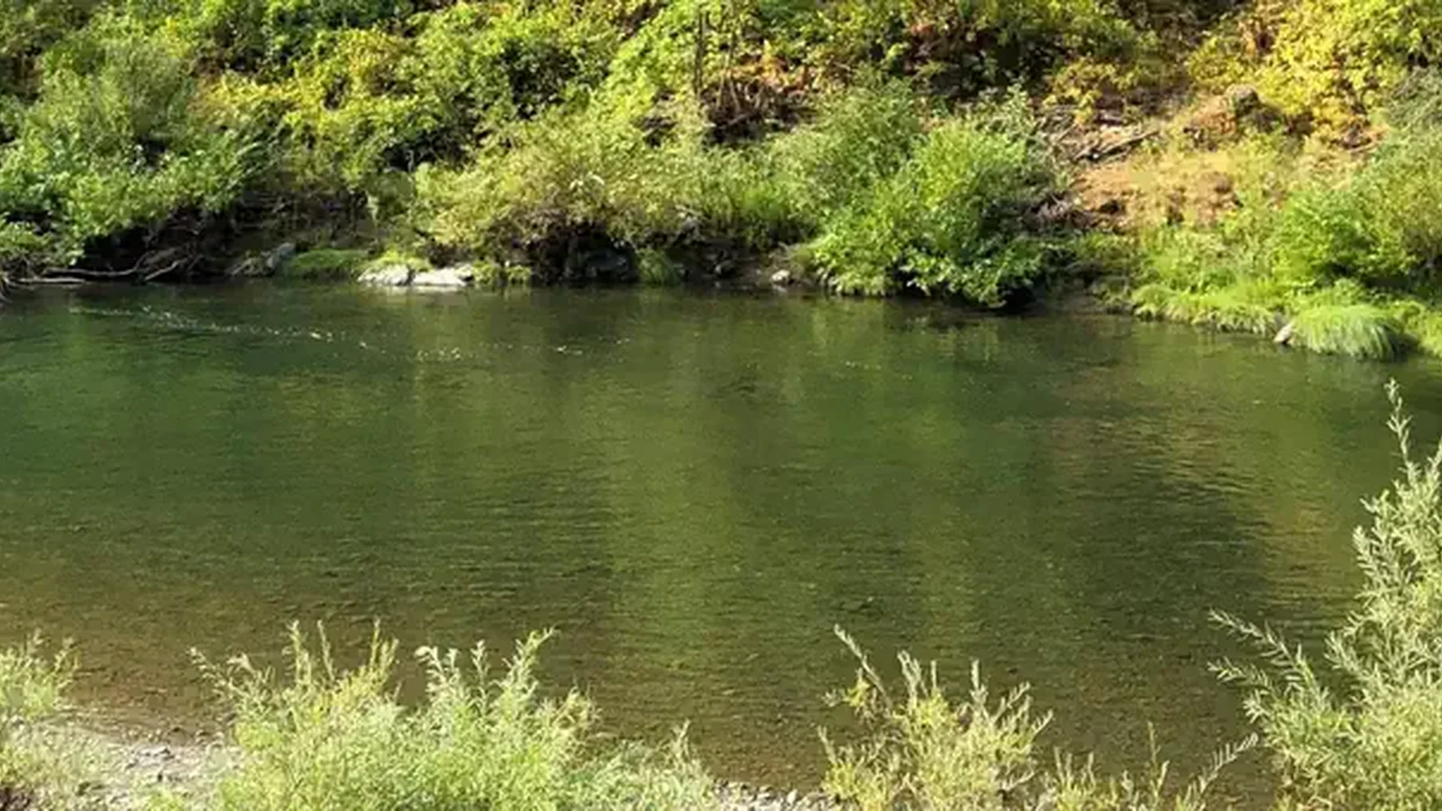 View of Trinity River from Skunk Point Campground