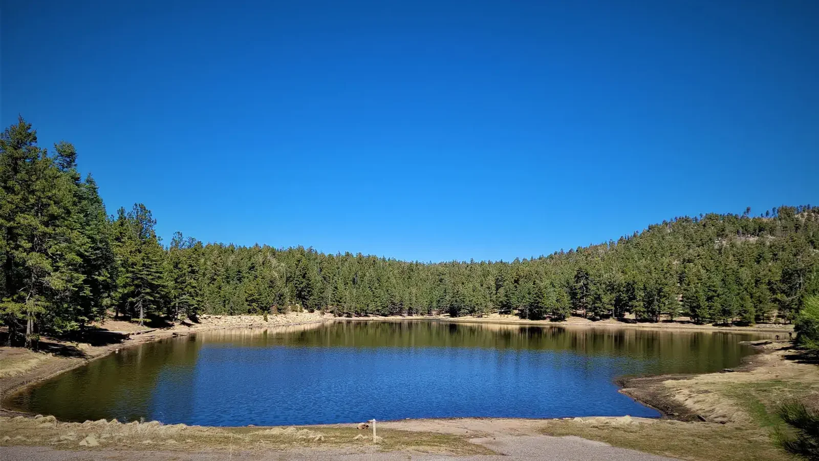 Riggs Lake