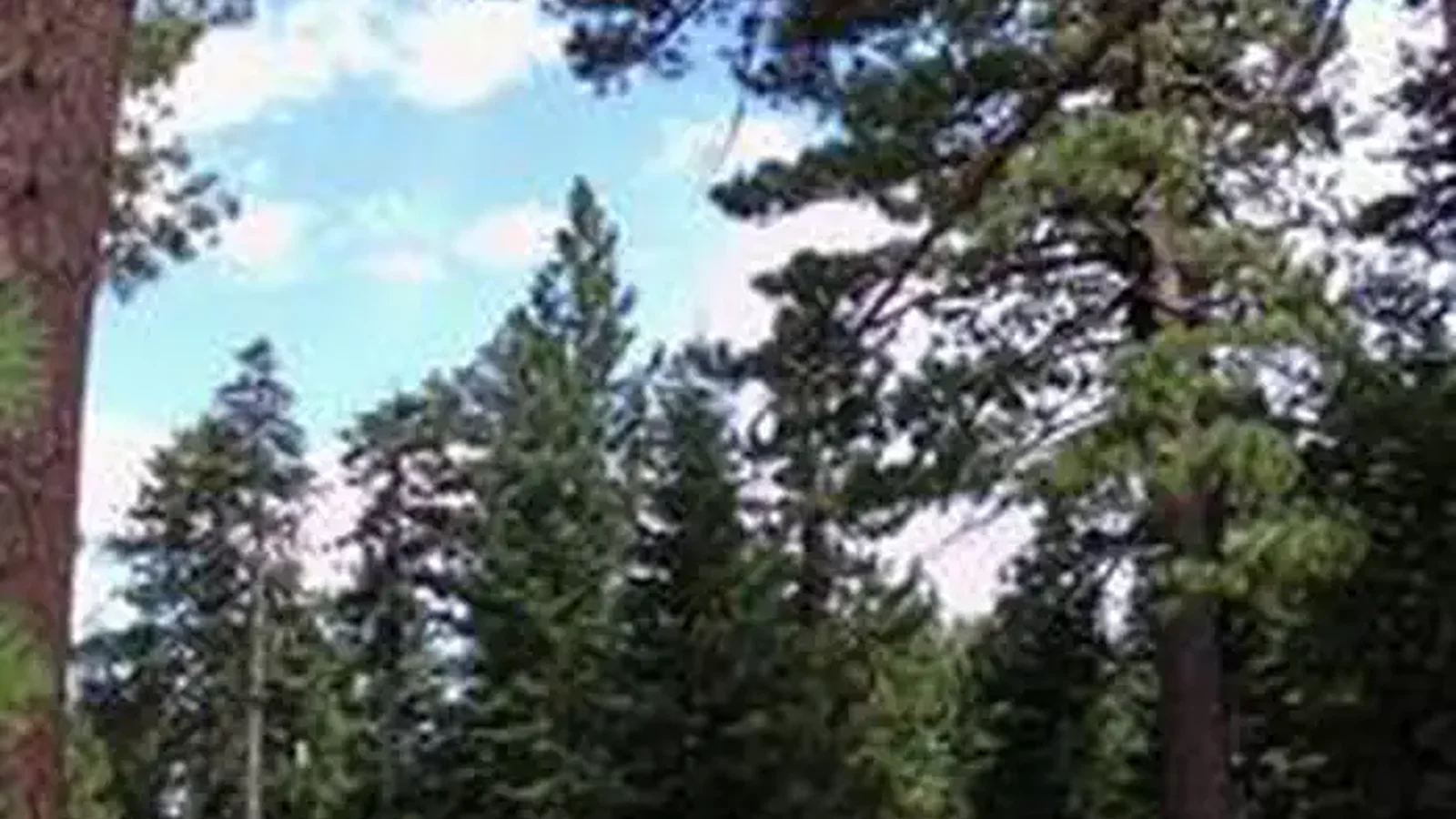 JACKSON FLATS