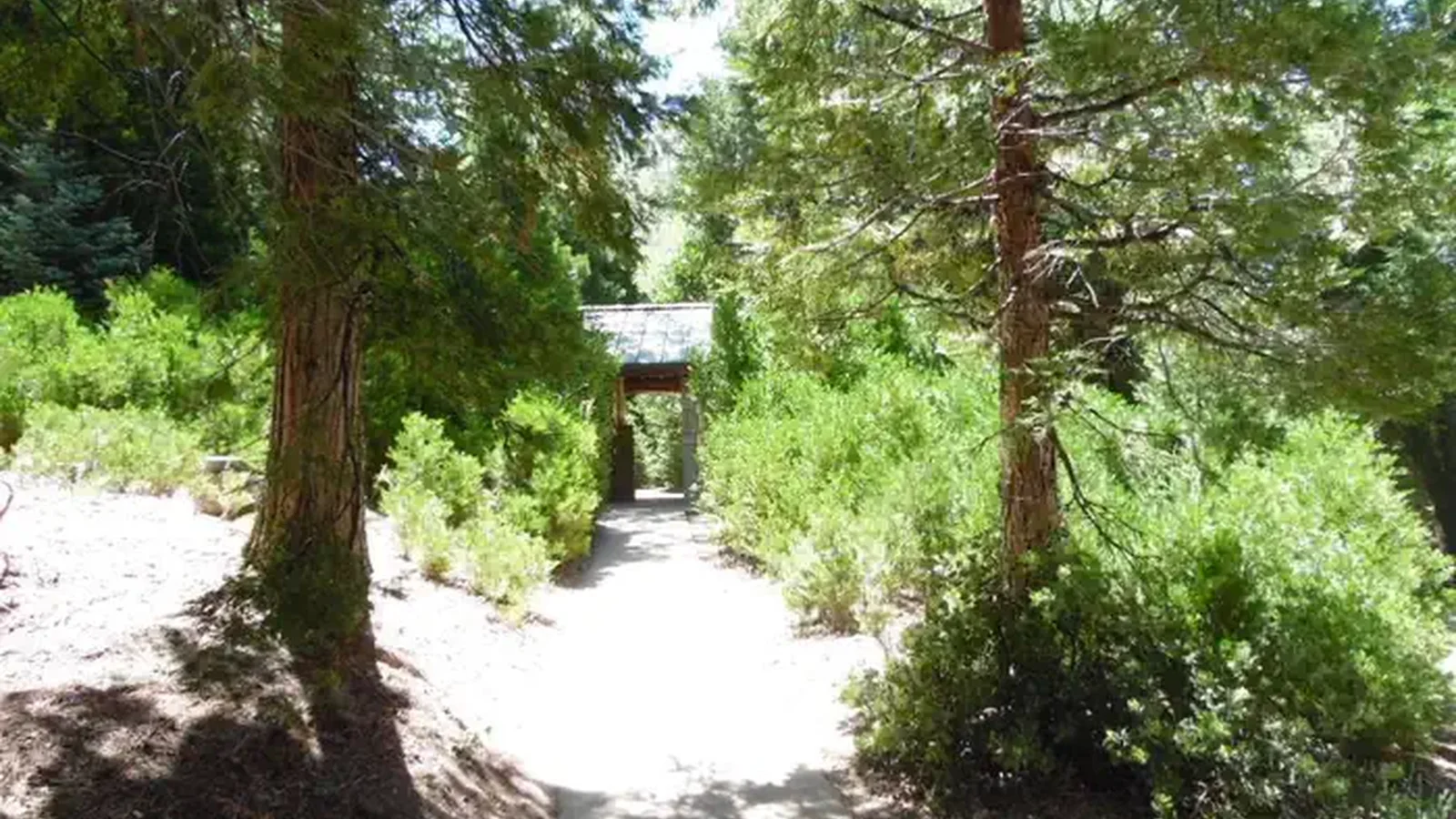 Short trail to bathroom at Dogwood