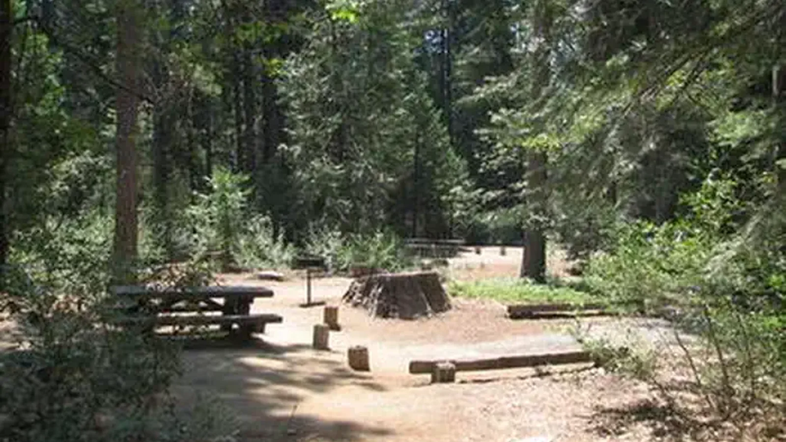 STUMPY MEADOWS