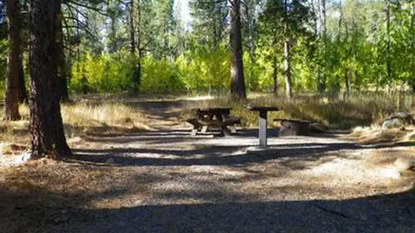 Lookout Campground
