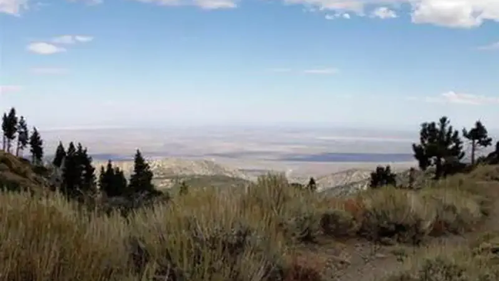 JACKSON FLATS