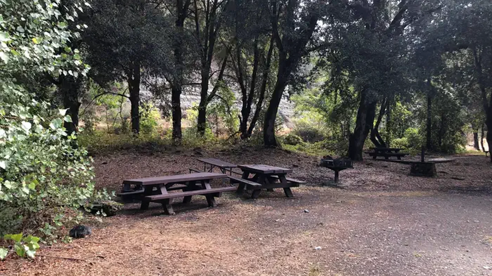 Picnic Tables