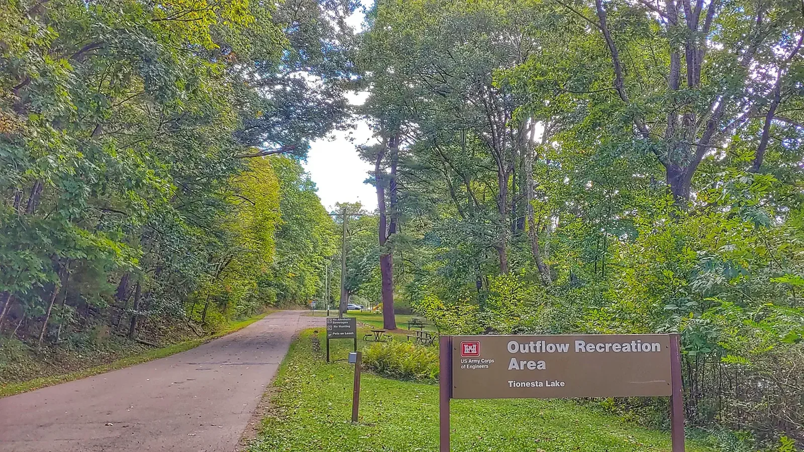 Outflow
