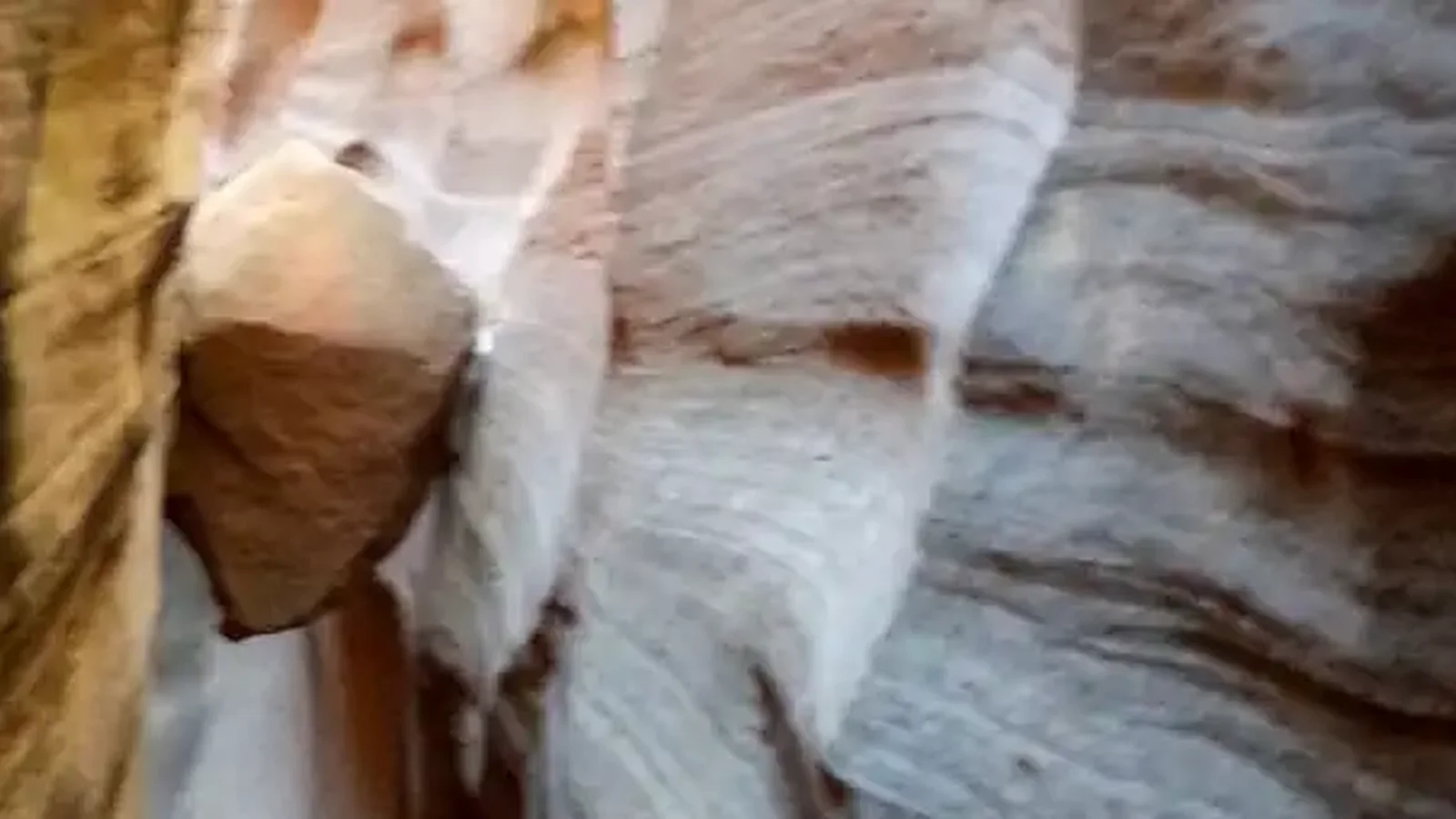 Burro Wash