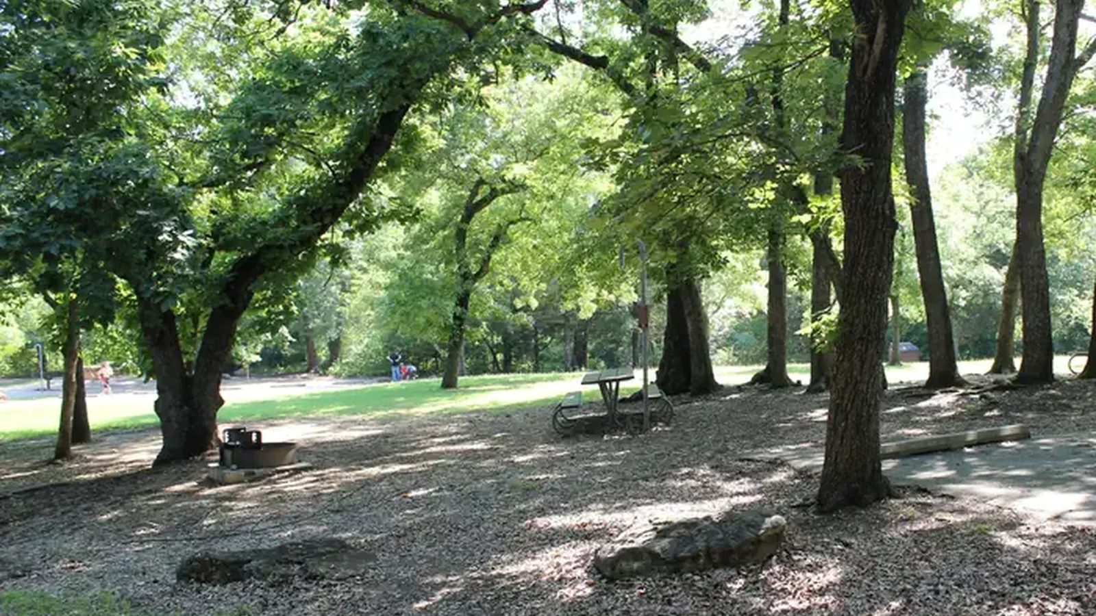 Central Group Campground showing picnic table, trees, grass and open space.